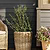 Kingscote Tall Rattan Planter 52cm Grey