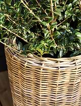Kingscote Tall Rattan Planter 52cm Grey