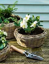 Kingscote Rattan Plant Bowl 39cm Grey