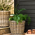 Kingscote Tall Rattan Planter 47cm Natural