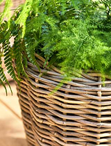 Kingscote Tall Rattan Planter 47cm Natural