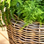 Kingscote Tall Rattan Planter 47cm Natural