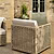 Harting Armchair Light Rattan