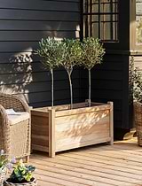 Aldsworth Trough Planter 