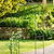 Farringdon Rose Arch Raw Metal
