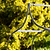Farringdon Rose Arch Raw Metal