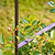 Farringdon Rose Arch Raw Metal