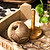 Classic String & String Holder Set