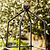 Barrington Square Obelisk Plant Support Small Raw Metal