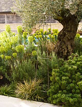 Barrington Square Obelisk Plant Support Small Raw Metal