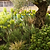 Barrington Square Obelisk Plant Support Small Raw Metal