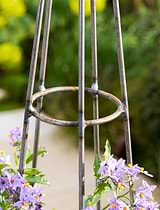 Barrington Pointed Obelisk Plant Support Small Raw Metal