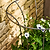 Barrington Fluted Plant Support Small Raw Metal