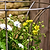 Barrington Fluted Plant Support Small Raw Metal