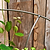 Barrington Fluted Plant Support Large Raw Metal