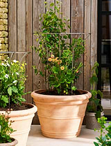 Barrington Fluted Plant Support Large Raw Metal