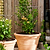 Barrington Fluted Plant Support Large Raw Metal