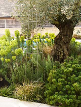 Barrington Square Obelisk Plant Support Large Raw Metal
