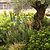Barrington Square Obelisk Plant Support Large Raw Metal