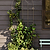 Barrington Wall Trellis Large Raw Metal