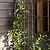 Barrington Wall Trellis Large Raw Metal