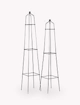 Barrington Square Obelisk Plant Support Set of 2 Raw Metal