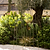 Barrington Square Obelisk Plant Support Set of 2 Raw Metal