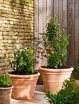 Barrington Fluted Plant Support Set of 2 Raw Metal