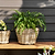 Kingscote Rattan Plant Pot 23cm Grey