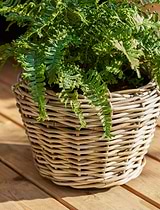 Kingscote Rattan Plant Pot 23cm Grey