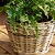 Kingscote Rattan Plant Pot 23cm Grey