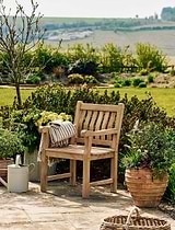 Ergo Teak Armchair