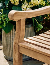 Ergo Teak Armchair