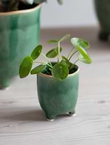 Positano Pot 7.2cm Forest Green