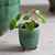 Positano Pot 7.2cm Forest Green
