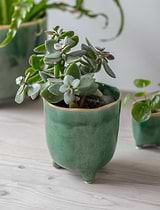 Positano Pot 13.5cm Forest Green