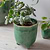 Positano Pot 13.5cm Forest Green