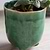 Positano Pot 13.5cm Forest Green