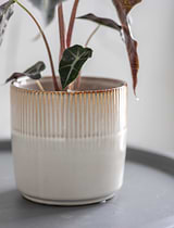 Hillesley Pot 13.5cm Ivory