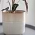 Hillesley Pot 13.5cm Ivory