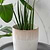Hillesley Pot 20cm Ivory