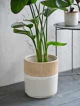 Hillesley Pot 28cm Ivory