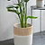 Hillesley Pot 28cm Ivory