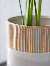 Hillesley Pot 28cm Ivory