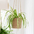 Hanging Plant Pot Tall 16.5cm Natural