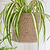 Hanging Plant Pot Tall 16.5cm Natural