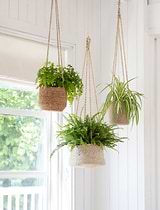 Hanging Plant Pot Tall 16.5cm Natural