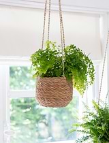 Hanging Plant Pot Short 17cm Natural