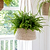 Hanging Plant Pot Tapered 25cm Natural