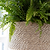 Hanging Plant Pot Tapered 25cm Natural